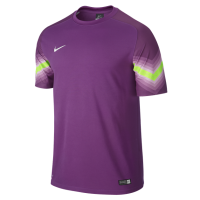 Koszulka bramkarska Nike Golerio Jersey 588416-550