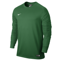 Bluza bramkarska dla dzieci Nike Park II Goalie Jersey zielona 588441 302